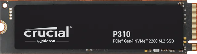 P310 M.2 NVMe SSD 2TB