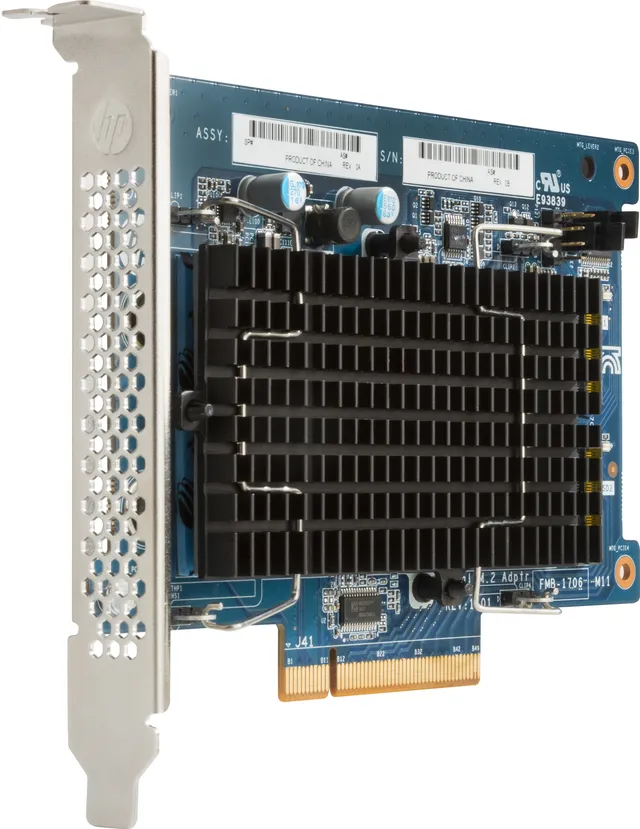 HP - DUAL PRO Pack - SSD - 256 GB - inbyggd - M.2 2280 - PCIe (NVMe) - för Workstation Z4 G4
