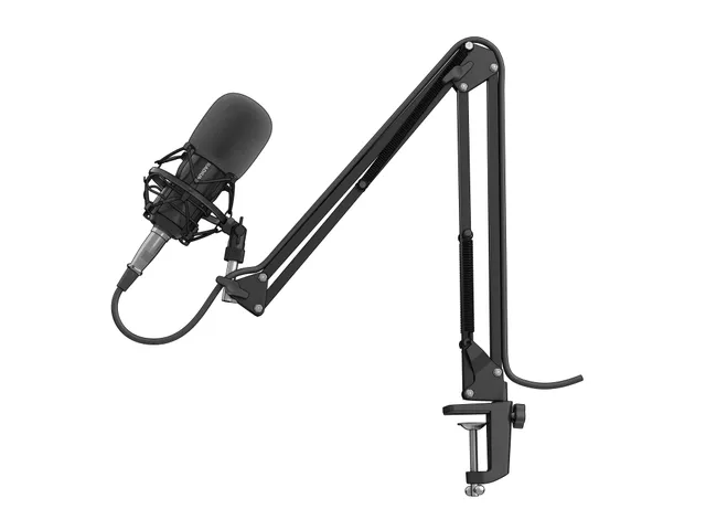 Radium 300 XLR - Mikrofon - sort