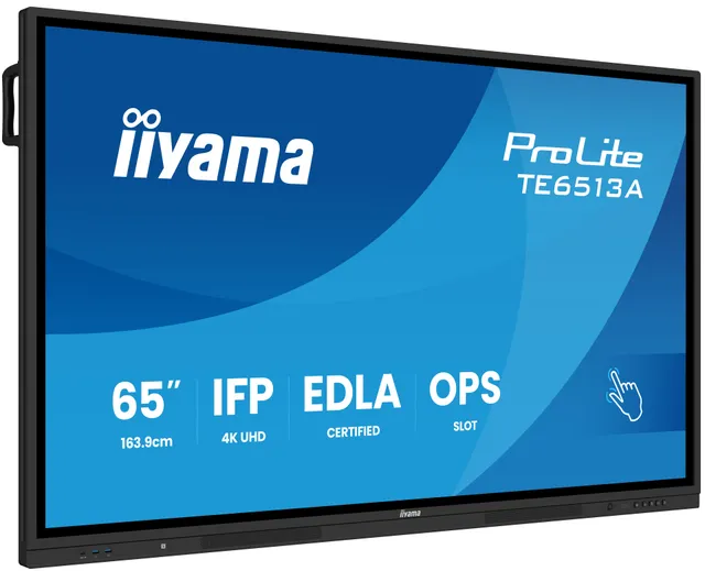 ProLite TE6513A-B2AG - 65" Diagonal klass (64.5" visbar) LED-bakgrundsbelyst LCD-skärm - interaktiv digital skyltning - med pekskärm (multi-tou
