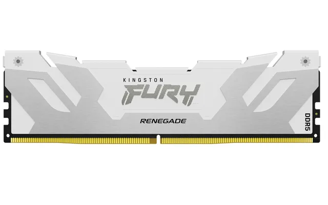 FURY Renegade - DDR5 - modul - 24 GB - DIMM 288-pin - 8000 MT/s / PC5-64000 - CL38 - 1.4 V - klockad oförbufferad - on-die ECC - silver, vit