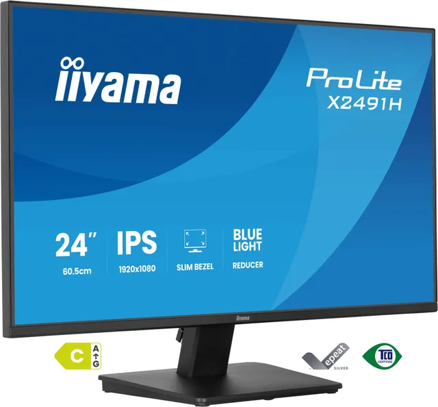24" iiyama ProLite X2491H-B1 - LED monitor - Full HD (1080p) - 24"