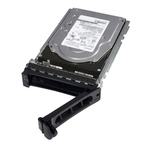 - Kundsats - SSD - Read Intensive - 960 GB - 512e - 2.5" (i 3,5-tums hållare) - SATA 6Gb/s