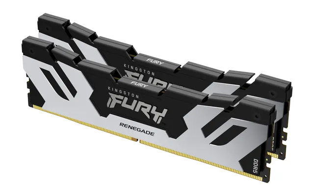 FURY Renegade - DDR5 - sats - 48 GB: 2 x 24 GB - DIMM 288-pin - 7200 MT/s / PC5-57600 - CL38 - 1.1 V - ej buffrad - on-die ECC - silver/svart