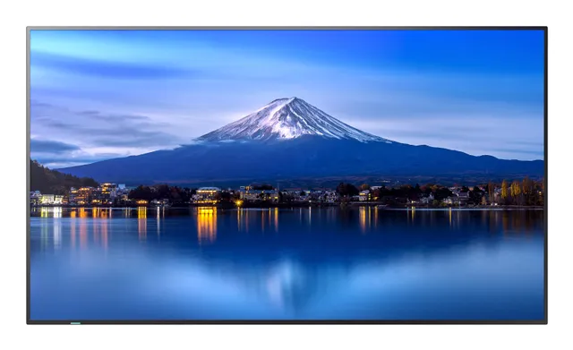 MultiSync P656 - 65" Diagonal klass (64.5" v