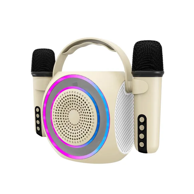 Partymic2 Trådlös högtalare RGB + 2 trådl. mikrofoner