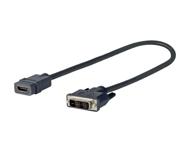 Pro - Videokort - dubbel länk - DVI-D han