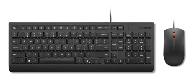 Essential Wired Combo - Sats med tangentbord och mus - USB - QWERTY - USA med eurosymbol - svart - för ThinkPad T16 Gen 4 21QN