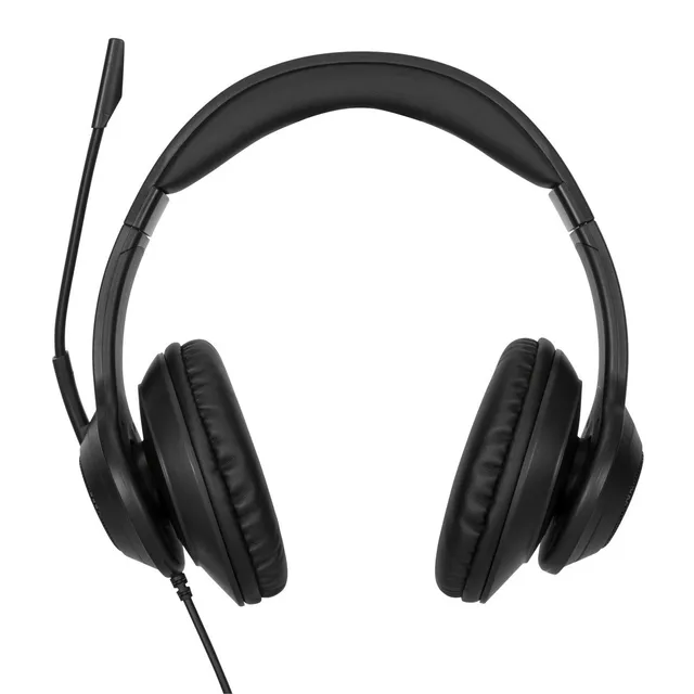 AEH102GL - Headset - på örat - konvertibel - kabelansluten - USB-A - ljudisolerande - svart