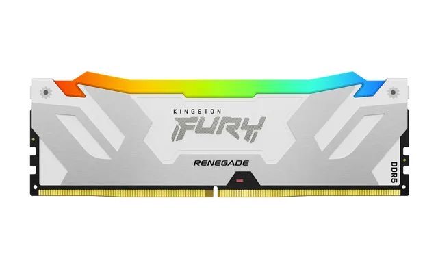 FURY Renegade RGB - DDR5 - modul - 24 GB - DIMM 288-pin - 8000 MT/s / PC5-64000 - CL38 - 1.4 V - ej buffrad - on-die ECC - vit, silver