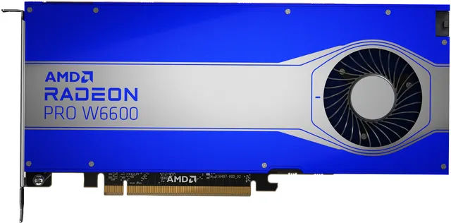 AMD Radeon Pro W6600 - Grafikkort - Radeon Pro W660 - 8 GB GDDR6 - 4 x DisplayPort - för Workstation Z2 G8, Z4 G5, Z6 G5, Z8 G5