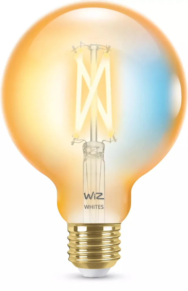 Tunable G95 E27 Amber Smart Filament Lampa - Dimbar varm-till-kallvit LED