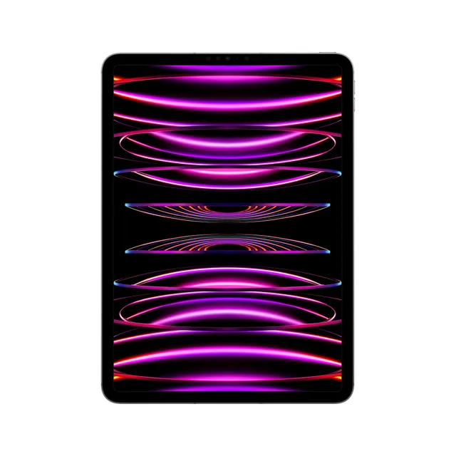iPad Pro Cellular 1 TB 11" Rymdgrå (2022)