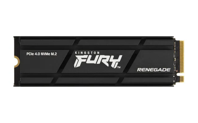 2000G RENEGADE PCIe 4.0 NVMe SSD w/heatsink