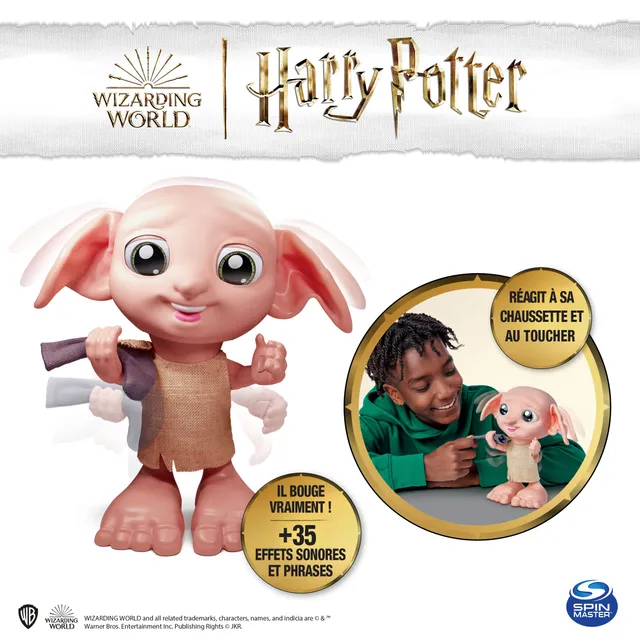 - Interactive Dobby