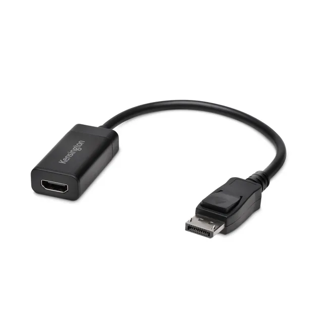 VP4000 4K Video Adapter - Videokort - DisplayPort hane till HDMI hona