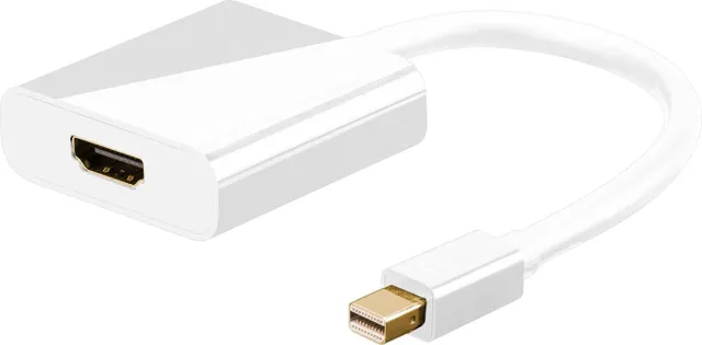 - Adapterkabel - Mini DisplayPort han