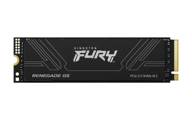 FURY Renegade G5 PCIe 5.0 NVMe M.2 SSD 8192GB