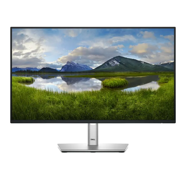 24" Pro Plus P2425H IPS 100 Hz