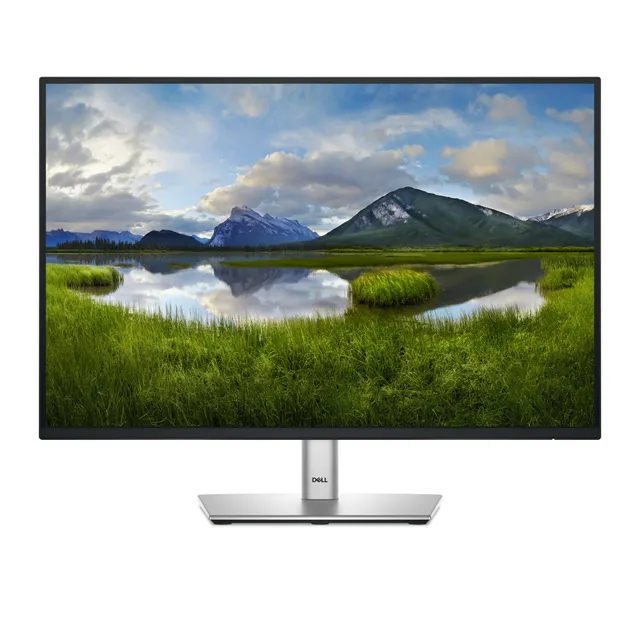 24" Pro Plus P2425 IPS 100 Hz