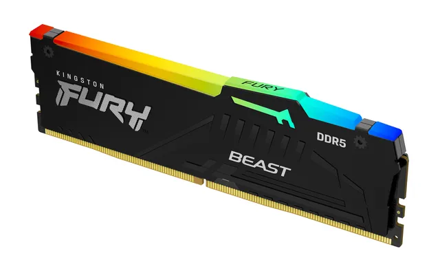 FURY Beast RGB - DDR5 - modul - 32 GB - DIMM 288-pin - 3000 MHz / PC5-48000 - CL36 - 1.25 V - ej buffrad - on-die ECC - svart