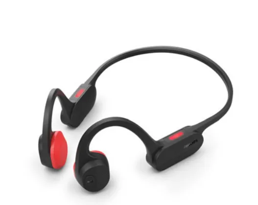 TAA5608BK - headphones with mic