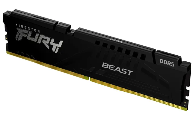 FURY Beast - DDR5 - modul - 32 GB - DIMM