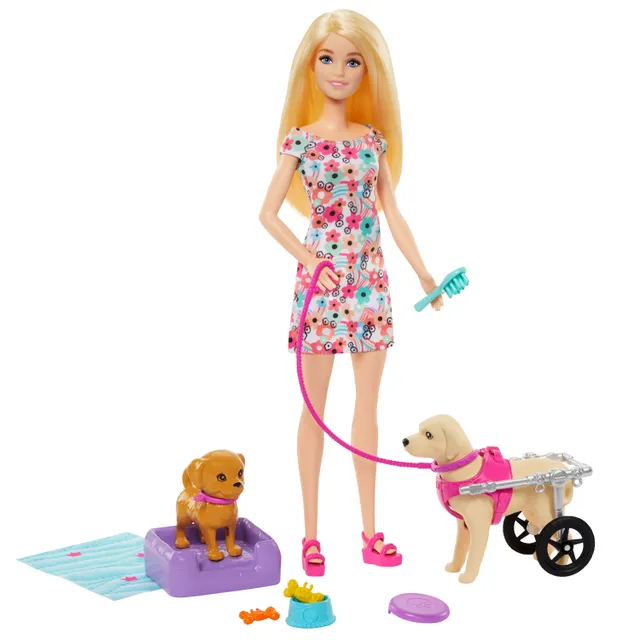 Doll with Pup and Dog in a Wheelchair
