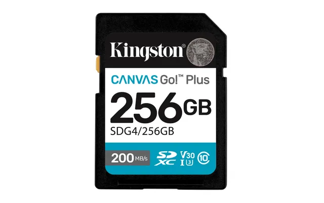 Canvas Go! Plus - Flash-minneskort - 256 GB - Video Class V30 / UHS-I U3 / Class10 - SDXC UHS-I