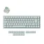 Q16 HE 65% 8K Wired Ceramic Light Green Keychron Lime Magnetic Switch