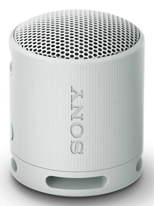 SRS-XB100 bärbar bluetooth-högtalare (ljusgrå)