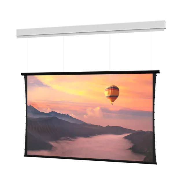 Myriad Conceal Series - Projektorduk - wide - takmontering - motoriserad - 220 V - 208" (528 cm) - 16:10 - HD Progressive 1.1 Contrast - vit -