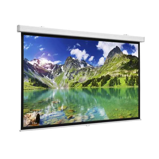 Projecta Hapro CSR HDTV Format - Projektorduk - takmontering, väggmontering - 127" (323 cm) - 16:9 - Matte White