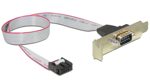 CC-DB9ML-01 - serial panel - DB-9 to 10 PIN IDC - 40 cm