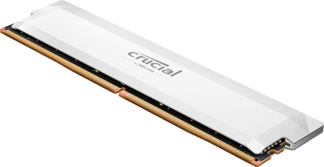 Pro OC - DDR5 - modul - 32 GB - DIMM 288-pin - 3200 MHz / PC5-51200 - CL40 - 1.35 V - ej buffrad - on-die ECC - vit