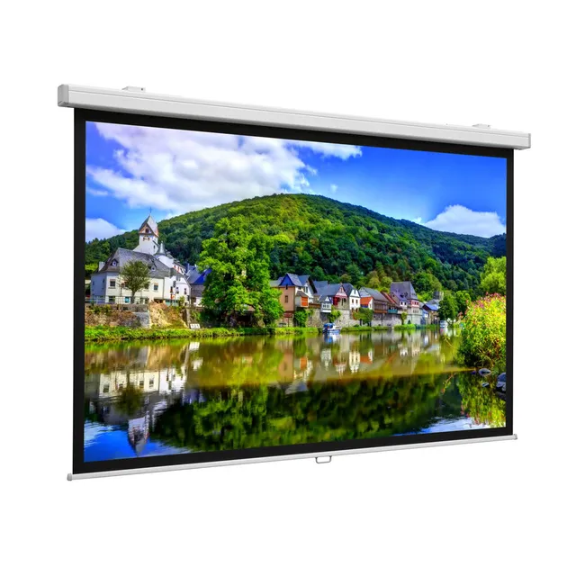 Projecta ProScreen - Projektorduk - takmontering, väggmontering - 1:1 - Matte White S - RAL 9016