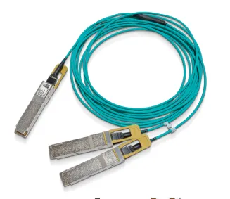 - Direktkopplad kabeldelare - QSFP56 (hane) till QSFP56 (hane) - 30 m - 30 m - fiberoptisk