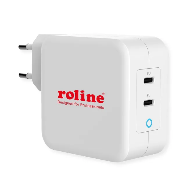 power adapter - 24 pin USB-C - 100 Watt