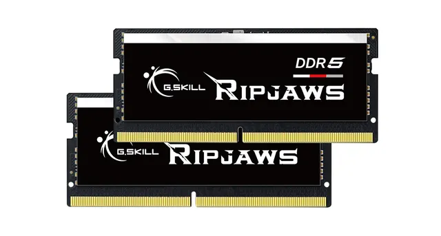 Ripjaws 64 Gt (2 x 32 Gt) DDR5 4800 MHz, CL40 -muisti (XMP)