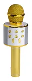 Bluetooth Karaoke Mikrofon med inbyggd högtalare. Guld