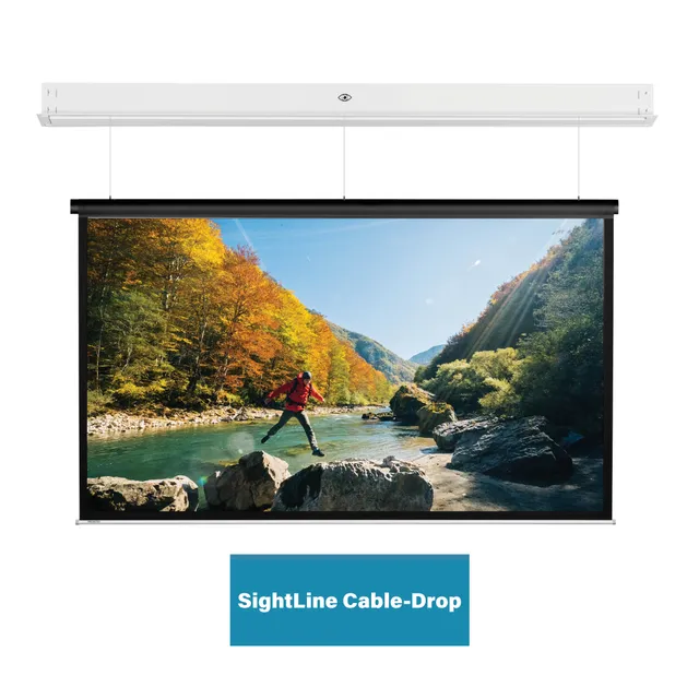 Projecta DescenderPro SightLine 244x390