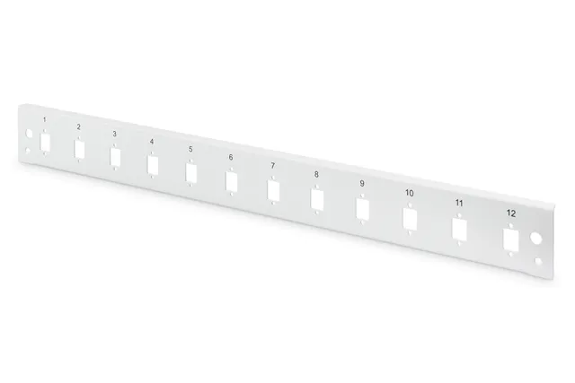 Professional DN-96206-QL - Fiberoptisk splejsningspanel - front - LC x 12 - grå, RAL 7035 - 1U - 19