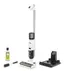 Skaftdammsugare FCV 2 Natural N handheld vacuum