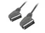 - Kabel för video / ljud - SCART hane till SCART hane - 1.8 m - svart
