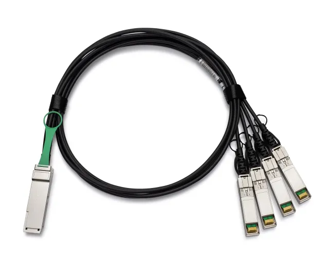 Arista 100GBase-CU direct attach cable - 1 m - Svart