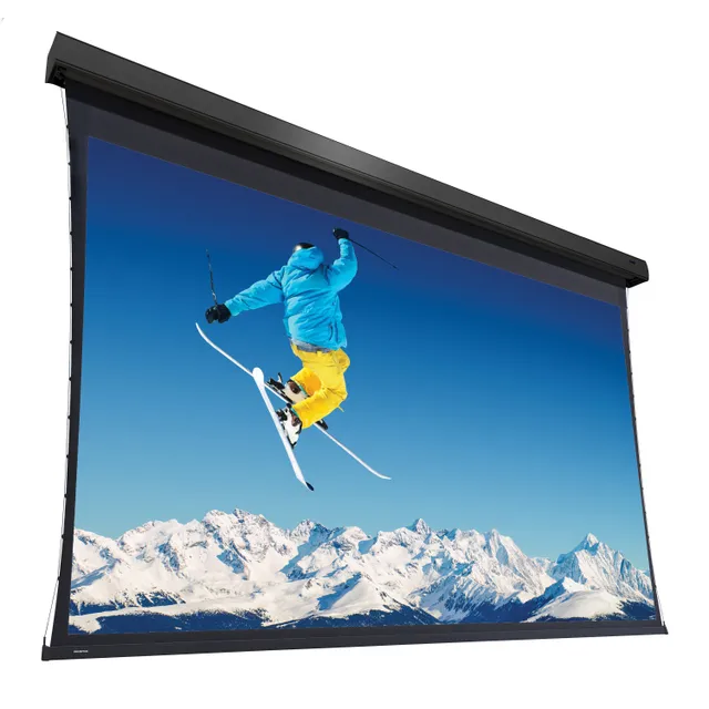 Projecta Extensa WS 431x690 HD Progressi