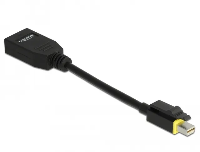 - DisplayPort-adapter - Mini DisplayPort (h