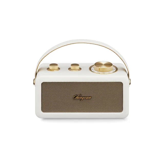 RA-101 portabel radio med Bluetooth med 3 års garanti