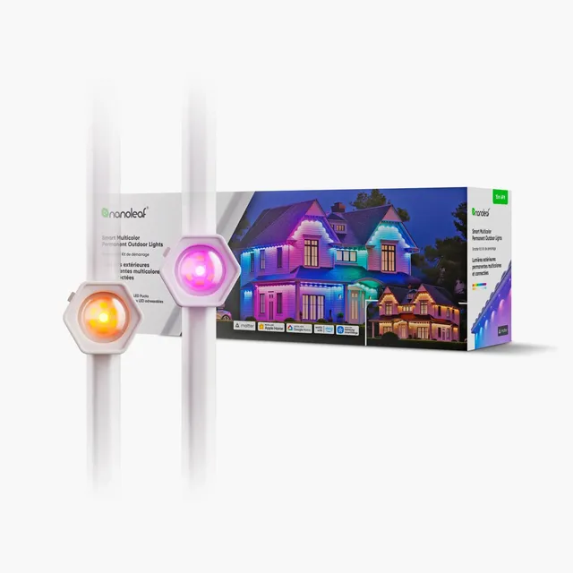 1D Permanent Outdoor Light Starter Pack