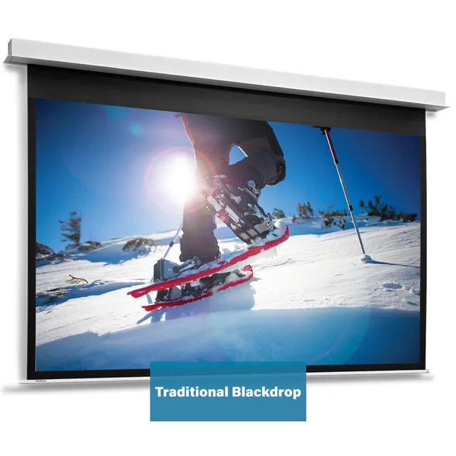Projecta DescenderPro - Projektorduk - takmonterbar - motoriserad - 230 V - 104" (264 cm) - 16:9 - Matte White - RAL 9016